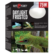 Sijalka REPTI PLANET Daylight Frosted 75W