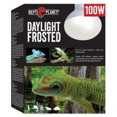 Sijalka REPTI PLANET Daylight Frosted 100W