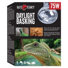 Sijalka REPTI PLANET Daylight Basking Spot 75W