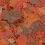 Ocean Nutrition Brine Shrimp Plus Flake 71g