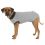Zaščitna pooperacijska obleka za psa, XS