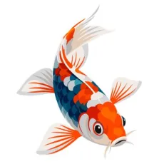 Koi krapi in karasi
