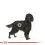 ROYAL CANIN Maxi Sterilised 3 kg