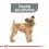 ROYAL CANIN Mini Dental Care pasji briketi za zmanj&scaron;anje zobnega kamna 3 kg
