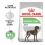 Royal Canin Maxi Digestive Care briketi za velike pse z občutljivo prebavo 12 kg