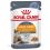Royal Canin Hair & Skin Care Jelly vrečka za mačke 12 x 85 g