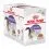 Royal Canin STERILISED in Jelly žele v vrečici 12 x 85 g