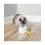 PetSafe FroliCat Peek-a-Bird &ndash; igrača za mačke