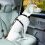 KURGO Direct to Seatbelt Tether Orange / Black, varnostni avtomobilski pas z mehanizmom za zapenjanje