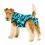 Pooperacijska obleka za psa XS kamuflažni vzorec v modri barvi