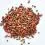 TROPICAL Discus Gran Mix 100 ml