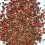 TROPICAL Discus Gran Mix 100 ml
