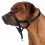 Vzgajalna pasja ovratnica z nagobčnikom - L, 31 cm