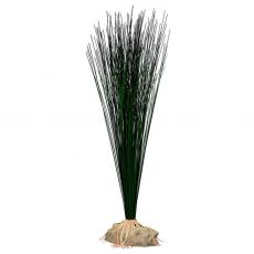 Umetna rastlina TETRA Hairgrass L 35 cm