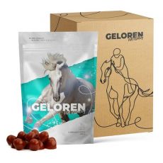 Geloren HA za nego sklepov konjev, višnja 1350 g (3 x 450 g)