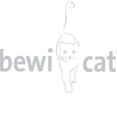 BEWI CAT - Hrana za mačke