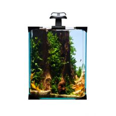 DIVERSA NanoLED SET 10