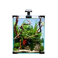 Diversa NanoLED SET 20