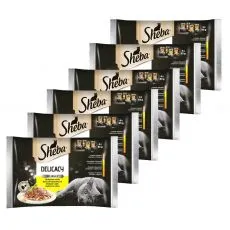 Sheba Delicacy Poultry izbor vrečk 6 x (4 x 85 g)