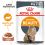 Royal Canin Hair & Skin Care Gravy vrečka 12 x 85 g