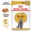 Royal Canin British Shorthair vrečke hrane  v soku za britanske kratkodlake mačke 12 x 85 g