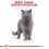 Royal Canin British Shorthair vrečke hrane  v soku za britanske kratkodlake mačke 12 x 85 g