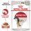 Royal Canin Instinctive Gravy vrečke hrane za mačke v soku 12 x 85 g
