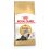 Royal Canin ADULT PERSIAN - 10kg