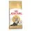 Royal Canin ADULT PERSIAN - 10kg