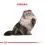 Royal Canin ADULT PERSIAN - 10kg