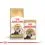 Royal Canin ADULT PERSIAN - 10kg
