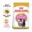 Royal Canin KITTEN PERSIAN - 2kg