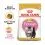 Royal Canin KITTEN PERSIAN - 2kg
