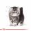 Royal Canin KITTEN PERSIAN - 2kg