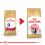 Royal Canin KITTEN PERSIAN - 2kg