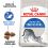 Royal Canin - Indoor 27 hrana za notranje mačke 2kg