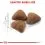 Royal Canin - Indoor 27 hrana za notranje mačke 2kg
