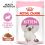 Royal Canin Kitten Instinctive Gravy vrečke hrane za mačke v soku 24 x 85 g