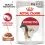 Royal Canin Instinctive Gravy vrečke hrane za mačke v soku 36 x 85 g