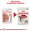 Royal Canin Instinctive Gravy vrečke hrane za mačke v soku 36 x 85 g