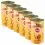 Konzerva pasje hrane Pedigree z govedino v želatini 6 x 1200g