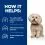 Hill's Prescription Diet Canine z/d Mini AB+ 1 kg