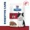 Hill's Prescription Diet Feline i/d AB+ losos 12 x 85 g