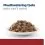 Hill's Prescription Diet Feline i/d AB+ losos 12 x 85 g