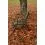 Mivardi stol CamoCODE Express