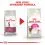 Royal Canin Aromatic Exigent briketi za izbirčne mačke 10 kg