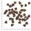 WOLFSBLUT Wide Plain Puppy 12,5 kg