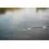 FOX RAGE Palica Street Fighter Rods Heavy shad 230cm/10-35g