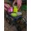 Fox Vodoodporna torba Aquos Camo Bait Storage Large