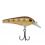 Berkley Wobler Hit Stick 3,5cm floating Rainbow Trout Rainbow Trout